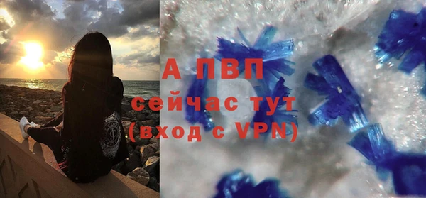 гидра Заводоуковск