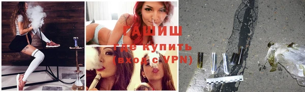 гидра Заводоуковск