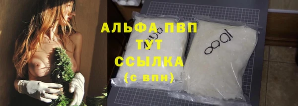 гидра Заводоуковск