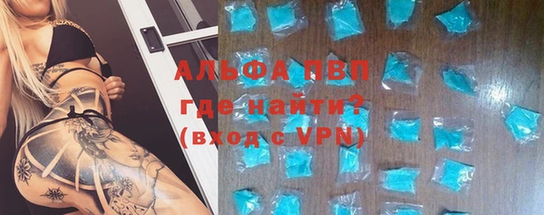гидра Заводоуковск
