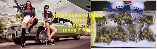 ешки Заволжье