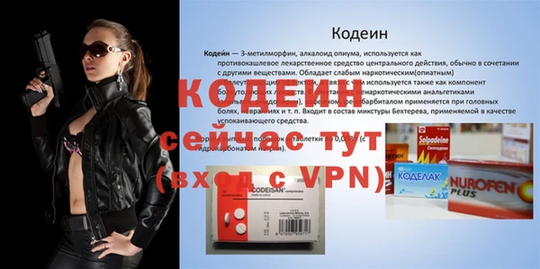 гидра Заводоуковск