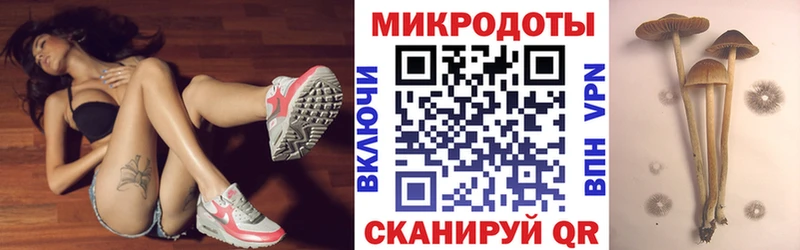 Псилоцибиновые грибы мицелий  Купить закладки  Кириллов 